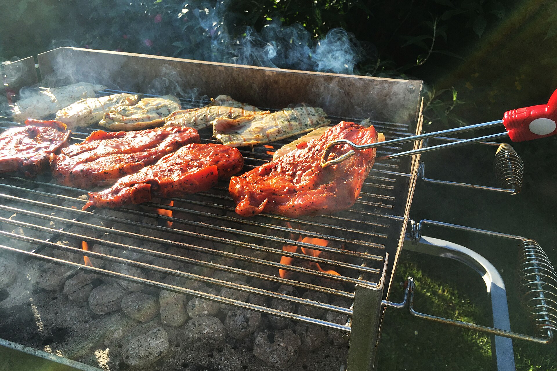 Meat cooking on a barbecue